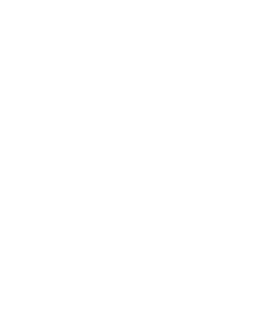 REVEAL logo